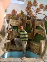 Saleem